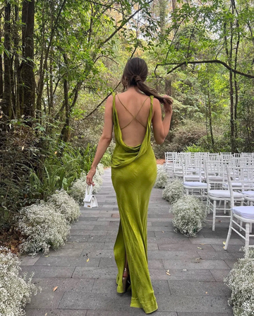 Unique Print Backless Long Prom Dress Elegant Evening Dress HZ1023